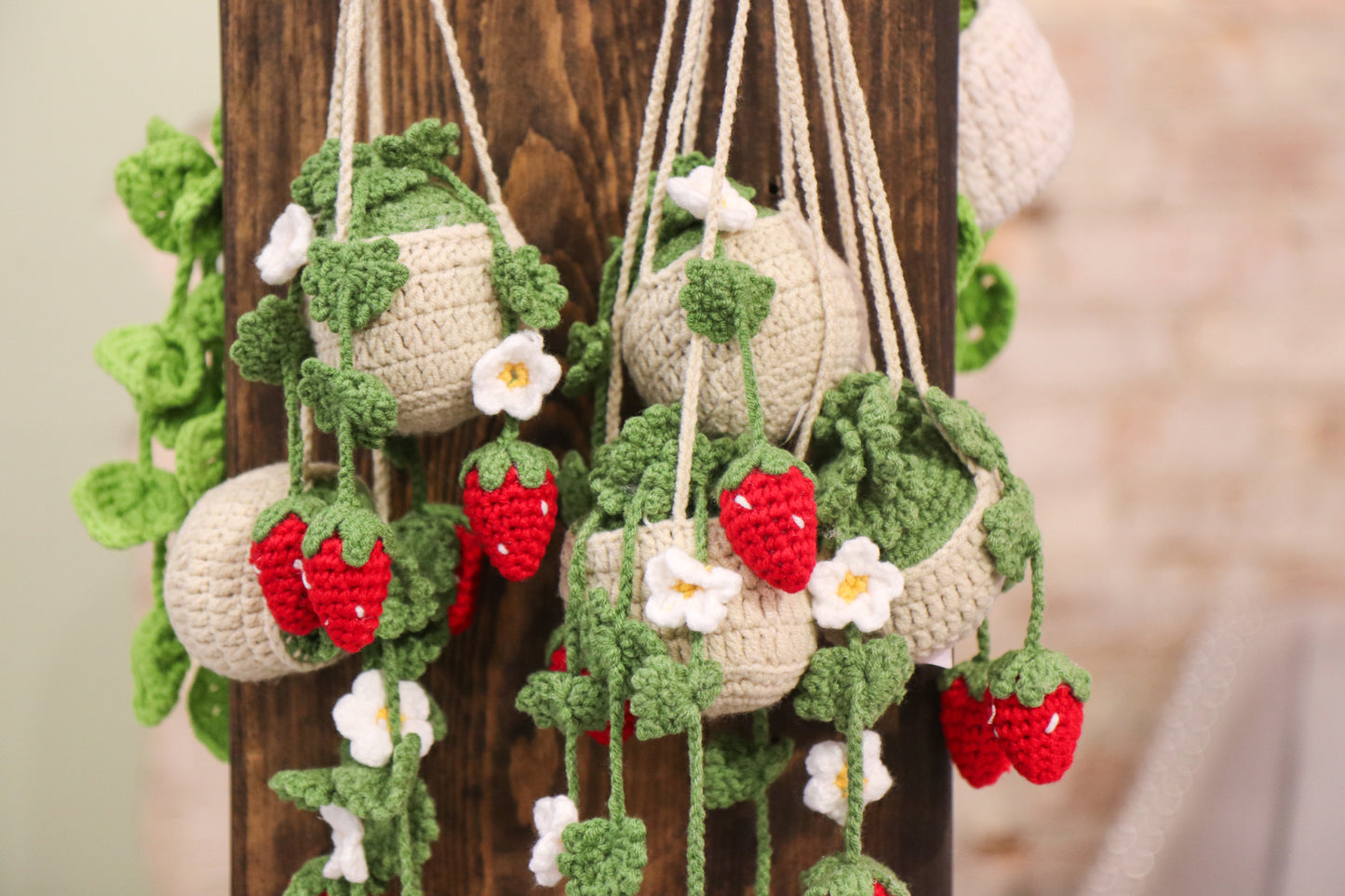 Crochet Hanging Plant - Oh, Hello Companies