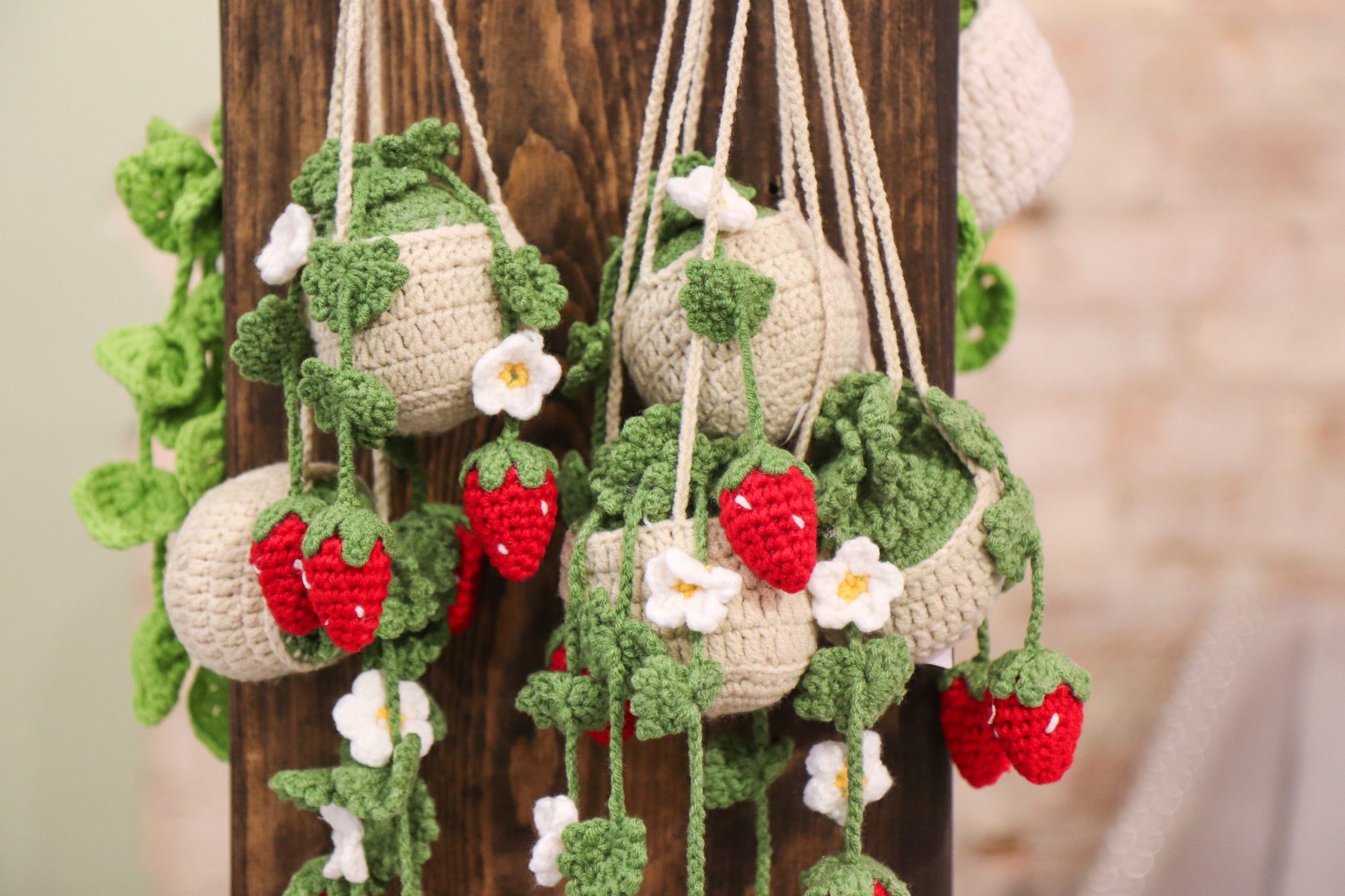Crochet Hanging Plant - Oh, Hello Companies