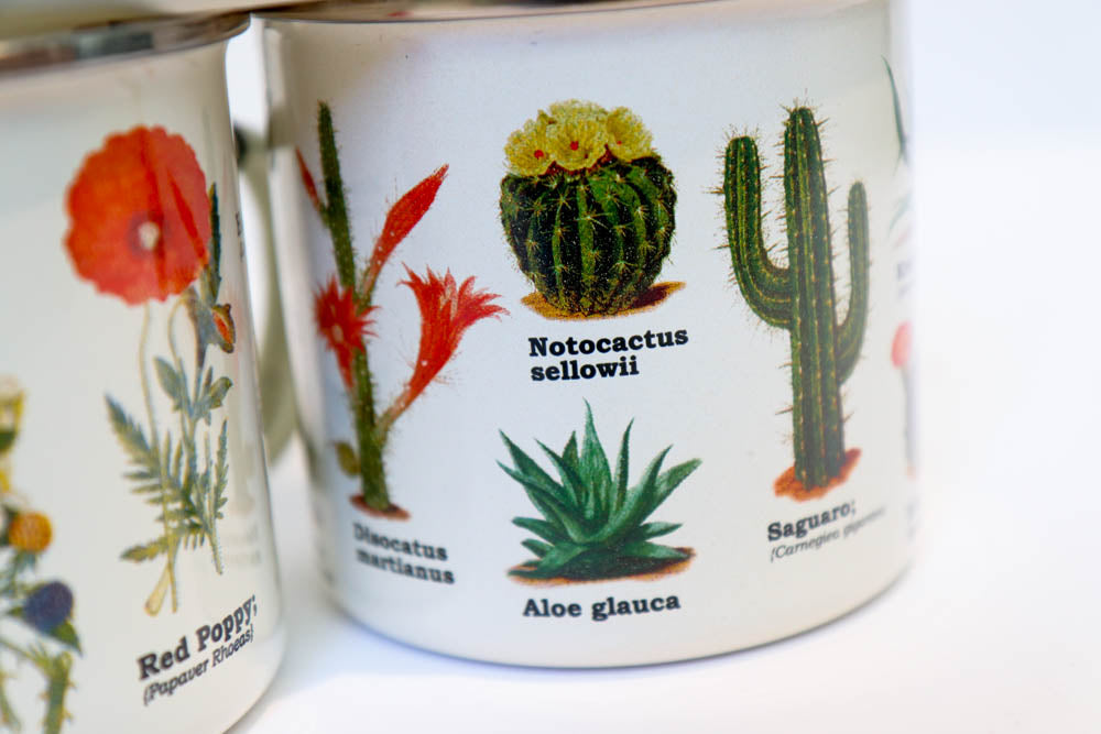 Cacti Campfire Mug - Oh, Hello Companies