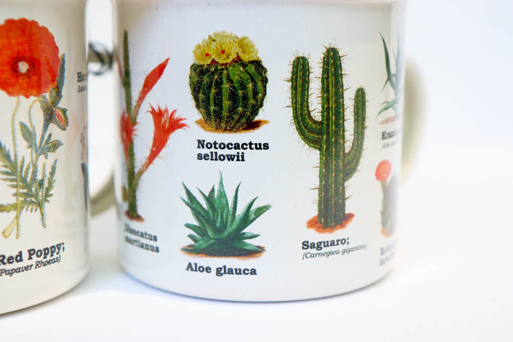 Cacti Campfire Mug - Oh, Hello Companies
