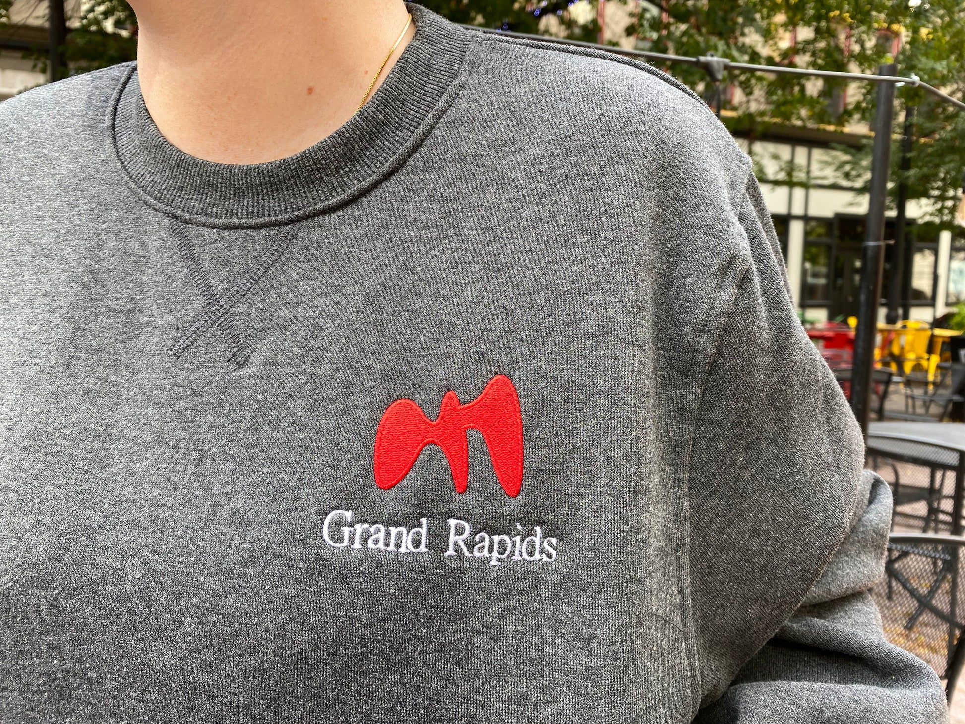 Embroidered Grand Rapids Gray Sweatshirt - Oh, Hello Companies
