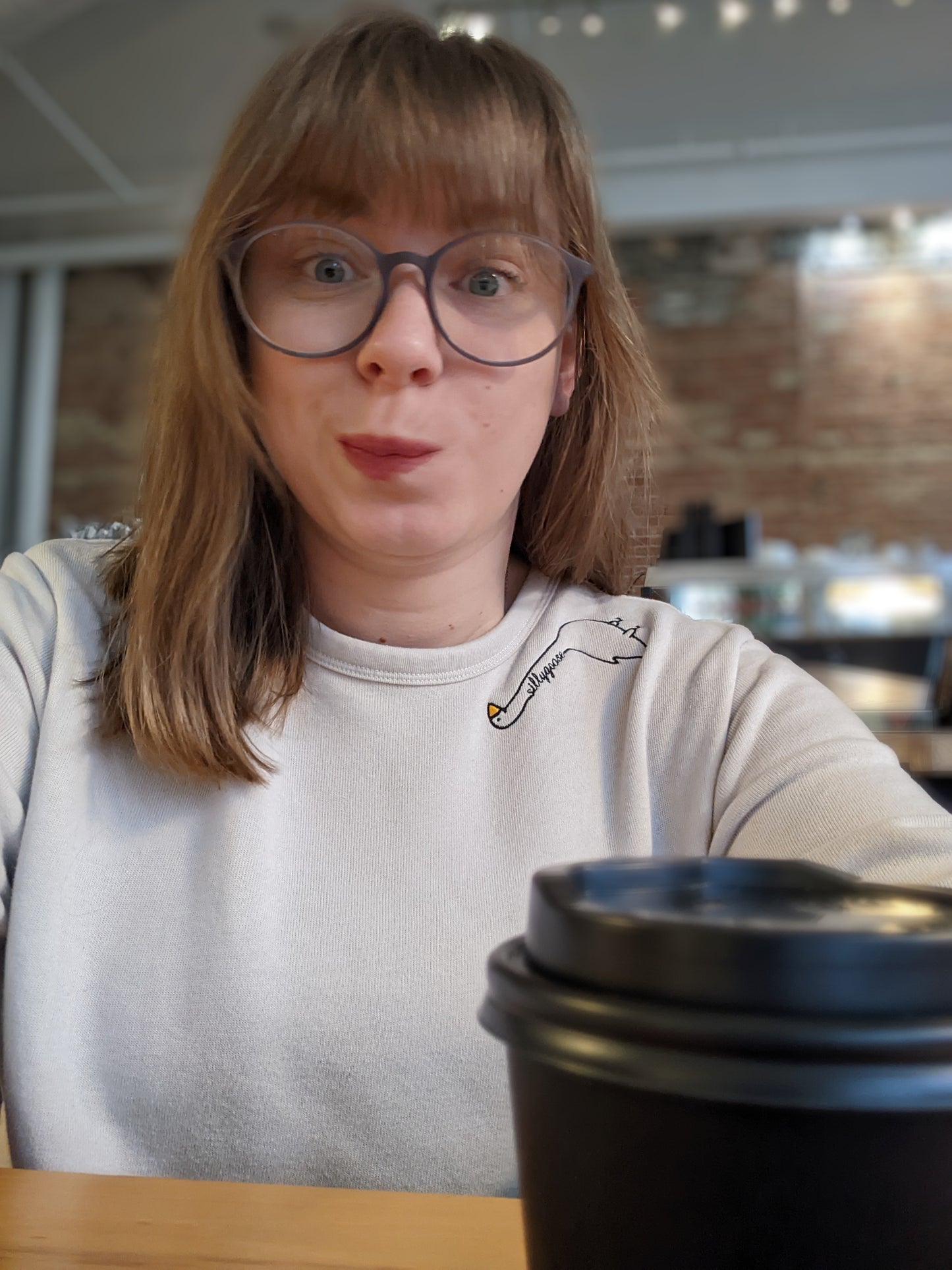 Embroidered Silly Goose Sweatshirt - Oh, Hello Companies